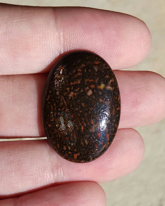 Dinosaur Gembone Cabochon | Utah