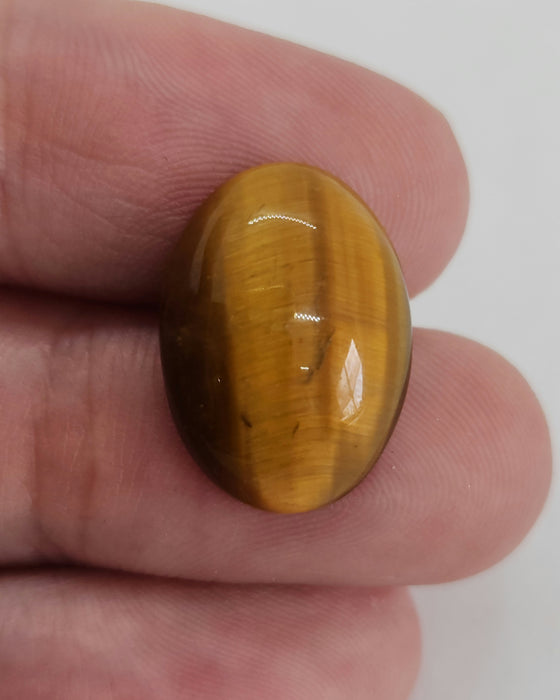 Tiger Eye Oval Cabochon