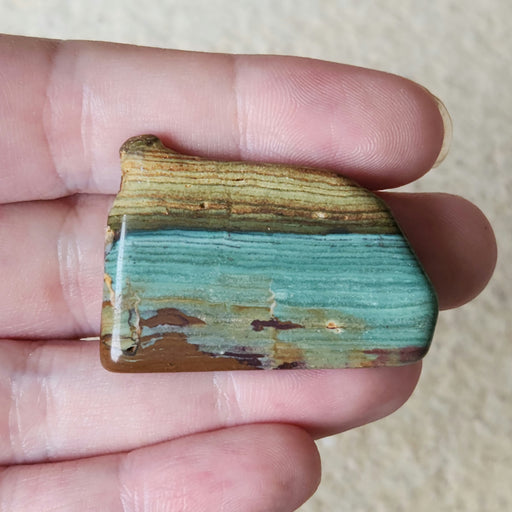 In Stone Fossils 