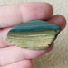 In Stone Fossils 