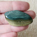 In Stone Fossils 