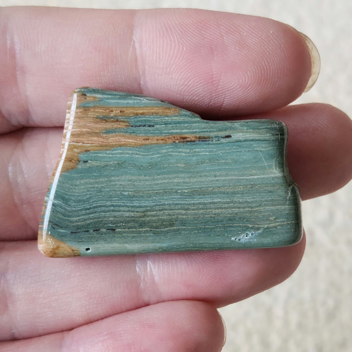 Gary Green Jasper (Larsonite) | Oregon