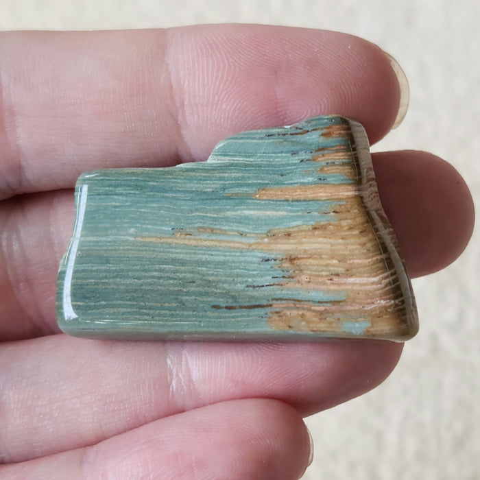 Gary Green Jasper (Larsonite) | Oregon