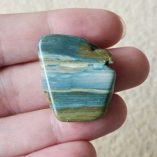 In Stone Fossils 