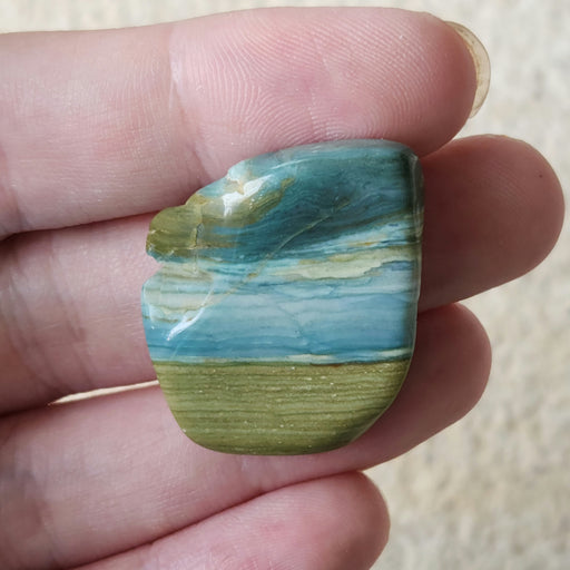 In Stone Fossils 
