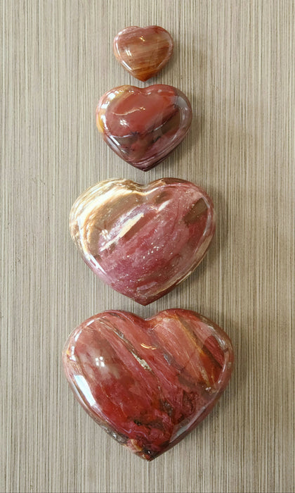 Petrified Wood Hearts | Madagascar