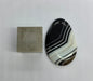 In Stone Fossils 