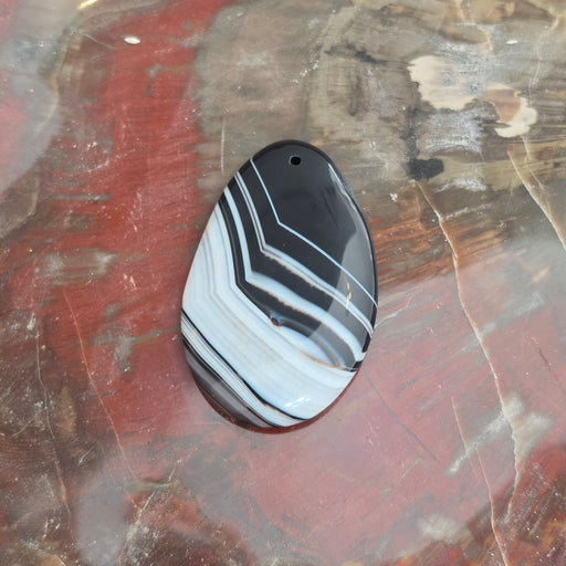 In Stone Fossils 