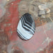 In Stone Fossils 
