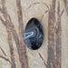 In Stone Fossils 
