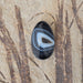 In Stone Fossils 