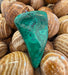 In Stone Fossils 