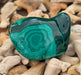In Stone Fossils 