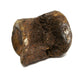 In Stone Fossils 