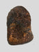 In Stone Fossils 