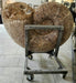 In Stone Fossils 