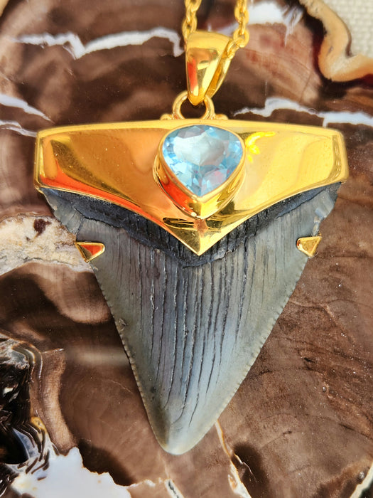 Megalodon Tooth Pendant with Blue Topaz Jewel