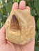 In Stone Fossils 