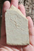 In Stone Fossils 