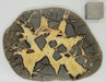 In Stone Fossils 
