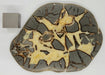 In Stone Fossils 