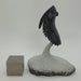 In Stone Fossils 
