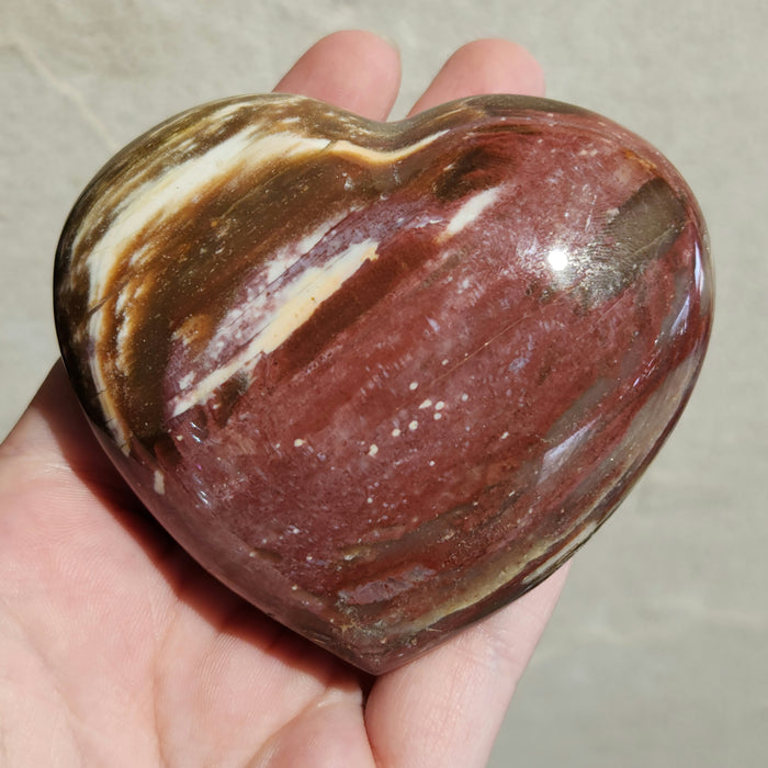 Petrified Wood Hearts | Madagascar