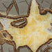 In Stone Fossils 
