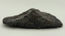 In Stone Fossils 