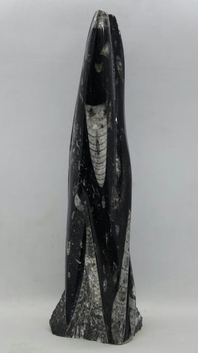 Orthoceras Spire Tower