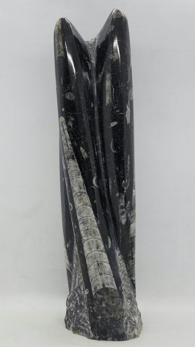 Orthoceras Spire Tower