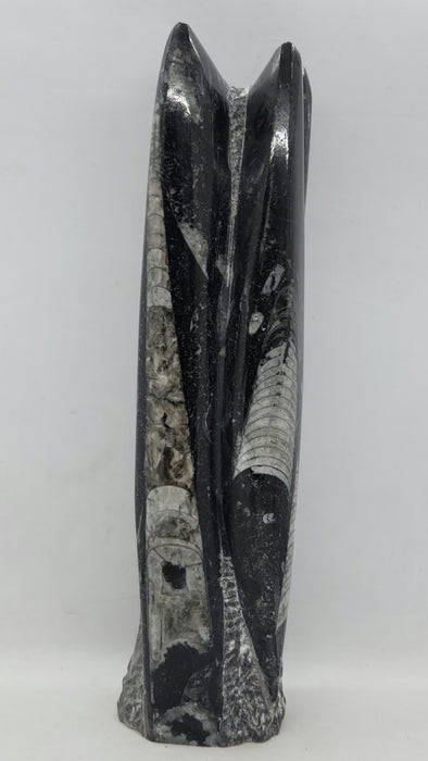 Orthoceras Spire Tower