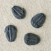In Stone Fossils 