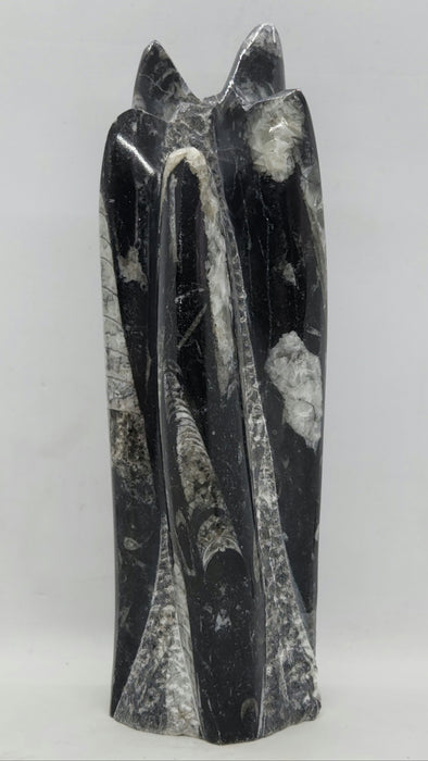 Orthoceras Spire Tower