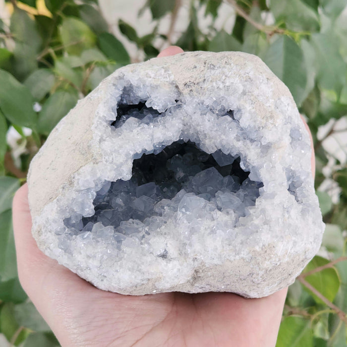 Blue Celestite Geode | Madagascar