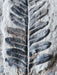 In Stone Fossils 