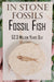 In Stone Fossils 