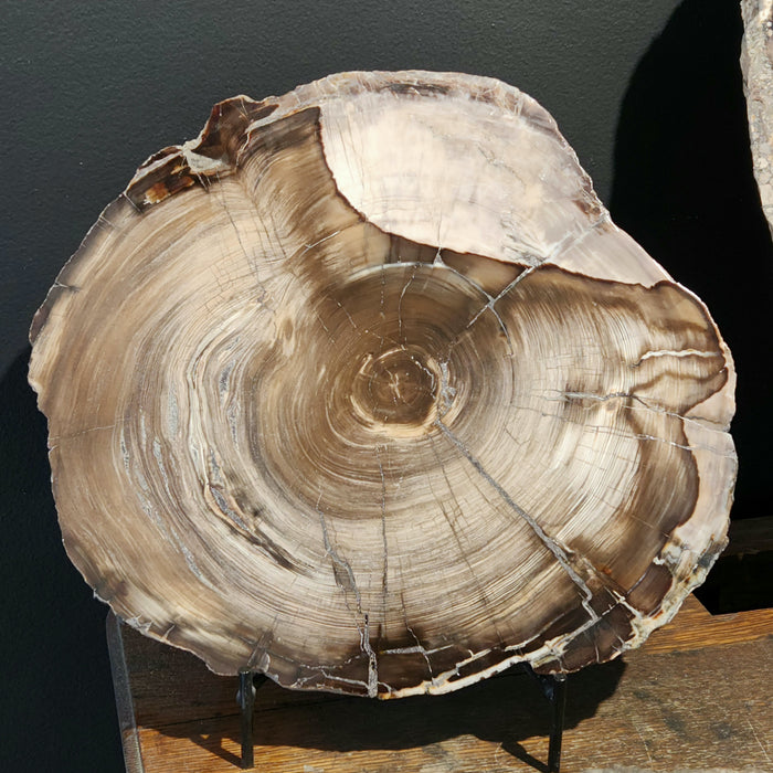 Cedar Wood Slab | Washington