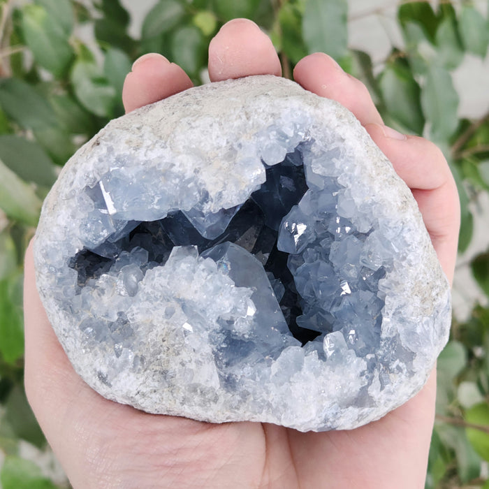 Blue Celestite Geode | Madagascar