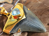 In Stone Fossils 