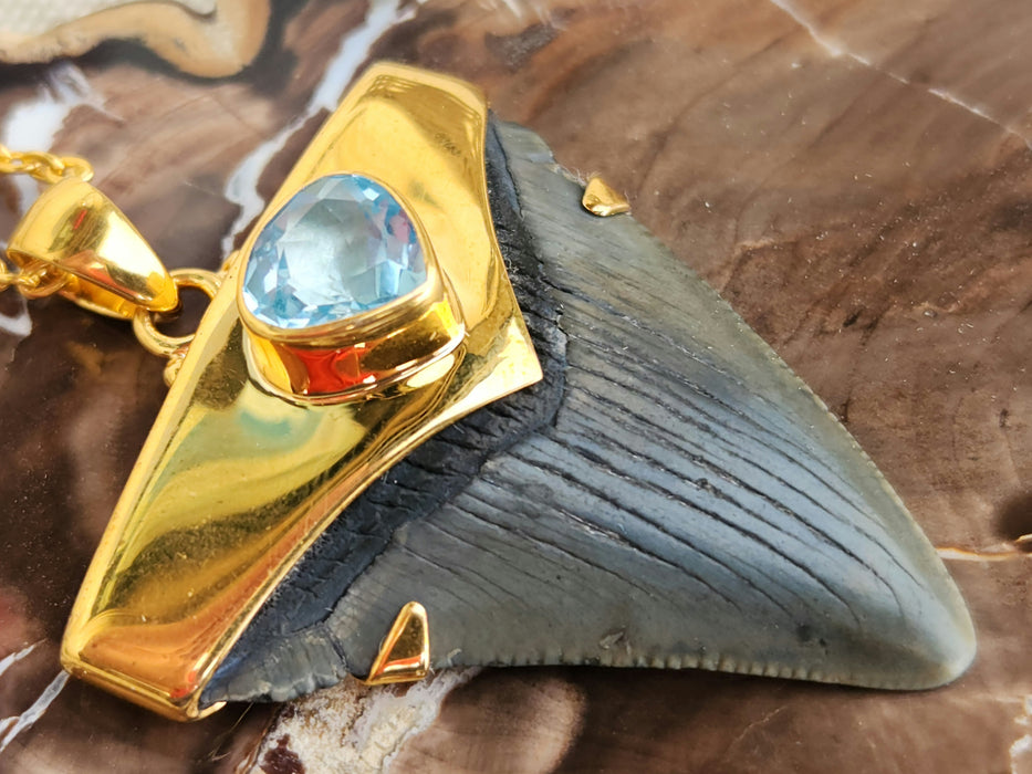 Megalodon Tooth Pendant with Blue Topaz Jewel