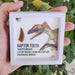 In Stone Fossils 