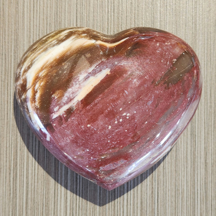Petrified Wood Hearts | Madagascar