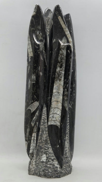 Orthoceras Spire Tower