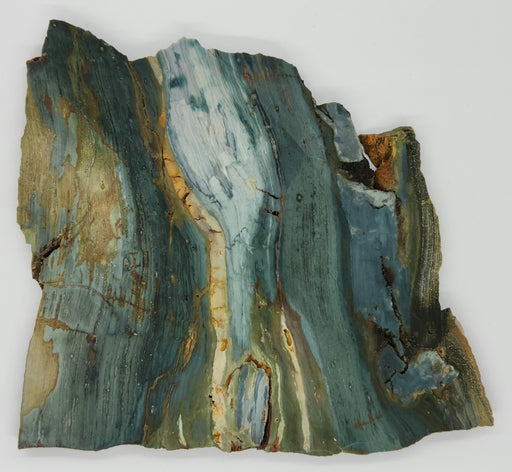 In Stone Fossils 