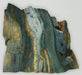 In Stone Fossils 