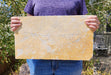 In Stone Fossils 