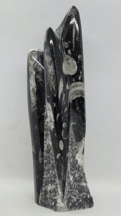 Orthoceras Spire Tower