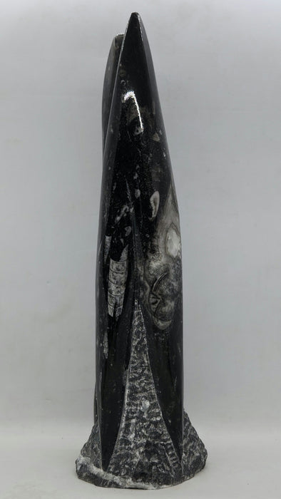 Orthoceras Spire Tower