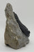 In Stone Fossils 